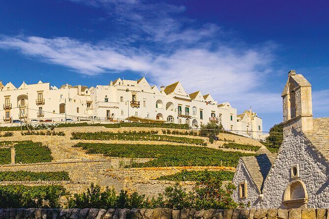 Valley D'itria full day tour Cisternino Alberobello and Polignano a Mare - A Deep Dive into the Valle dItria Full-Day Tour