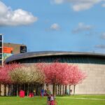 Van Gogh Museum Amsterdam Small Group Guided Tour - Is This Tour Worth Your Time and Money?