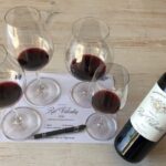 Verres-Tigineux workshop and tasting in Saint-Émilion - Tasting and Reflection