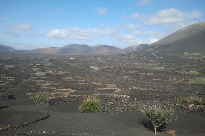 Vineyards of La Geria hiking tour - Transportation, Price, and Duration