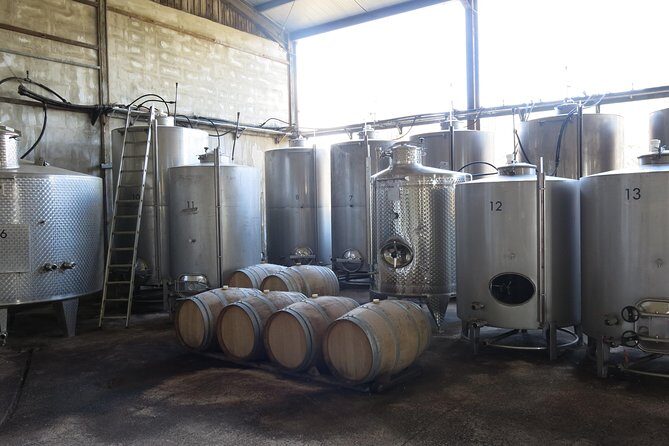 Vino Venture: Explore With A Local - Troodos Mountains thru Wine! - Scenic Drive: The Heart of the Troodos Mountains