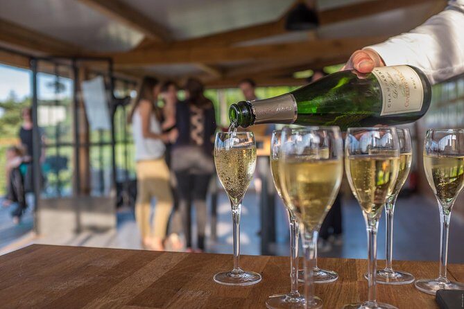 VIP Champagne Region Day Trip with 7 Tastings & Lunch from Paris - The Sum Up