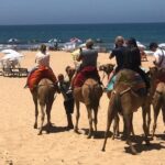 Vip Full Day Private Tangier Tour From Malaga All Inclusive - Authentic Experiences and Tips