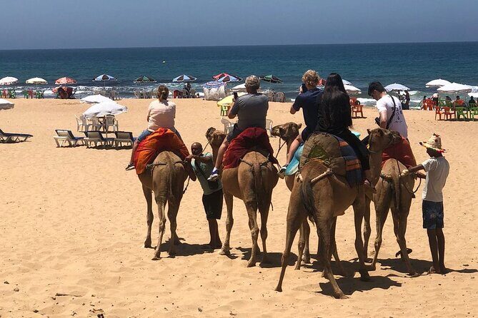 Vip Full Day Private Tangier Tour From Malaga All Inclusive - Authentic Experiences and Tips