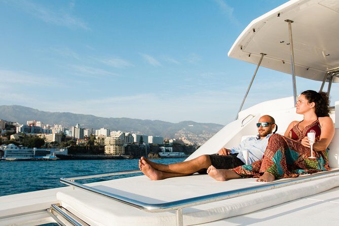 VipDolphins Luxury Whale Watching - The Journey and Wildlife Encounters
