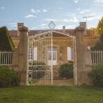 Visit and wine tasting: The Musketeers' wine - A Closer Look at the Tour: From Vine to Glass