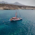 Watching and Listening Whales visiting Los Gigantes&Masca. Food&drinks included - Who Is This Tour Best For?