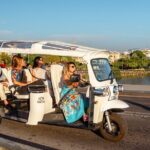 Welcome Tour to Seville in Private Eco Tuk Tuk - What the Guides Bring to the Experience