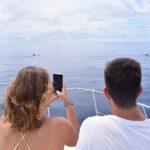 Whale and Dolphin Watching Tour in Madeira - The Value Proposition