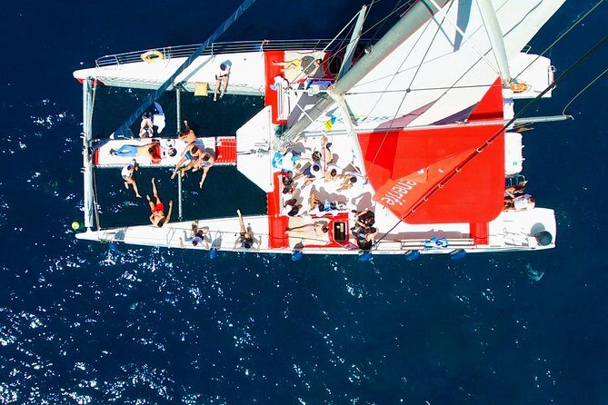 Whale watching and listening Eco-Catamaran Tour with Food Tasting - Final Thoughts: Is This the Right Tour for You?