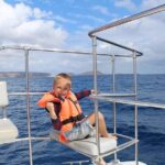 Whale Watching Catamaran Cruise with Transfer, Buffet by MC - Itinerary Breakdown