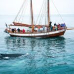 Whale Watching on a Traditional Oak Sailing Ship from Husavik - FAQs
