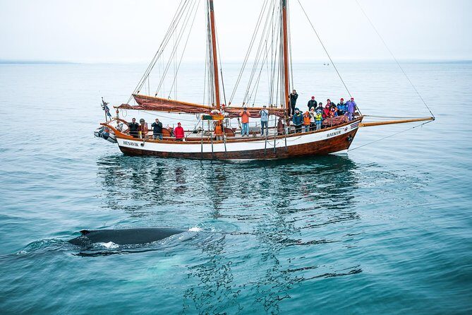 Whale Watching on a Traditional Oak Sailing Ship from Husavik - FAQs