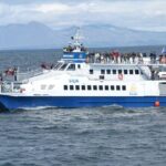 Whale Watching Tour from Akureyri City Central - An In-Depth Review of the Akureyri Whale Watching Experience