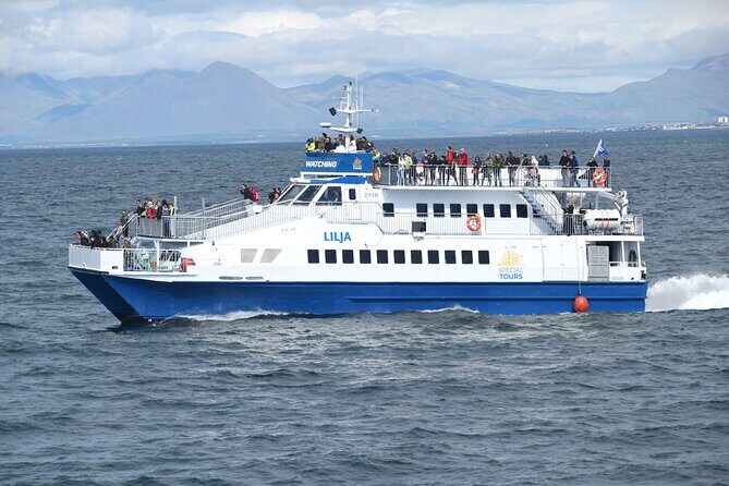 Whale Watching Tour from Akureyri City Central - An In-Depth Review of the Akureyri Whale Watching Experience