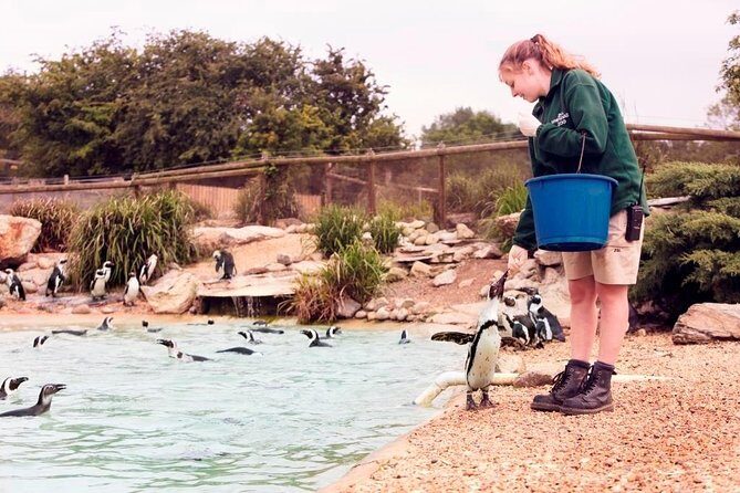 Whipsnade Zoo Entry Ticket - The Sum Up