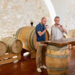 Wine and Food Pairing Experience at Alberobello Winery - Who Should Consider This Tour?