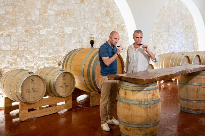Wine and Food Pairing Experience at Alberobello Winery - Who Should Consider This Tour?