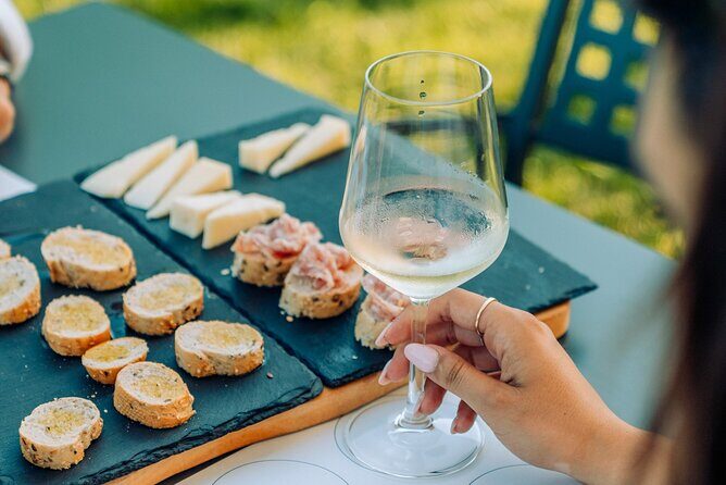 Wine and Food Tasting in the Vineyards in Lazise - Who Will Love This Experience?