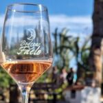 Wine and Tapas Tasting Tour from Alicante, Private Van - Why This Tour Offers Value