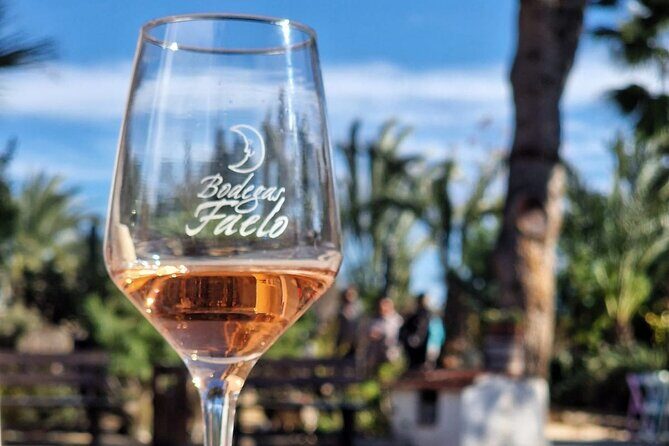 Wine and Tapas Tasting Tour from Alicante, Private Van - Why This Tour Offers Value