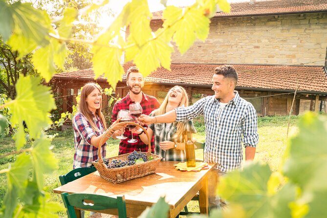 Wine experience Bologna hills - Who Would Love This Tour?