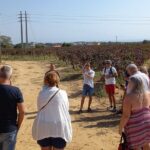 Wine Lovers: Winery Tour w/ Tasting & Tapas (Albufeira/Vilamoura) - What to Expect from the Winery Tour in Albufeira