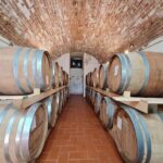 Wine & Oil Tasting Experience - The Value of the Experience