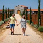Wine picnic - The Itinerary: Relaxed, Yet Well-Curated