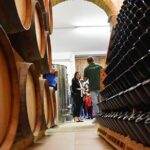 Wine Tasting and Guided Visit to the Vineyard and Cellar in S. Maria Imbaro - The Sum Up