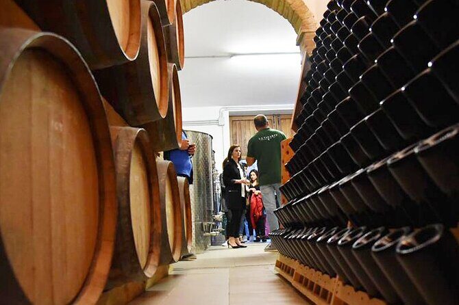 Wine Tasting and Guided Visit to the Vineyard and Cellar in S. Maria Imbaro - The Sum Up