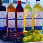 Wine Tasting and Tour in Saint Anna Winery in Naxos - An In-Depth Look at the Saint Anna Winery Tour