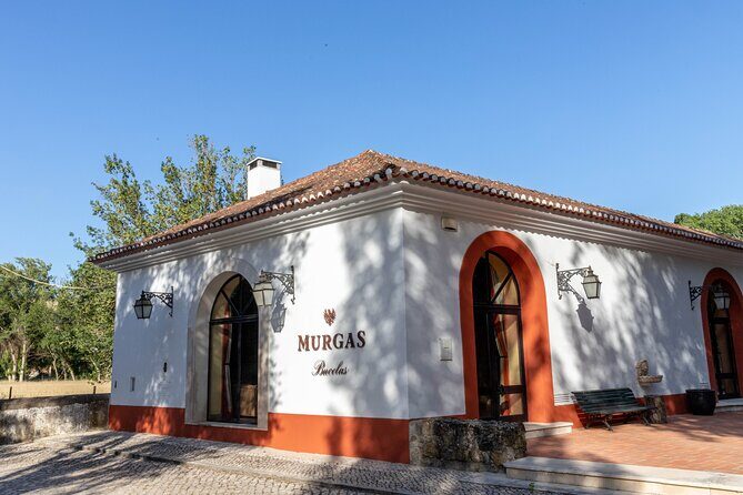 Wine tasting at Quinta das Murgas - Why We Recommend This Tour