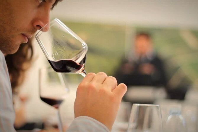 Wine Tasting Experience at the organic winery in ian - The Reviews: What Past Guests Say