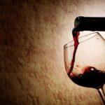 Wine Tasting in Madrid Experience - Final thoughts