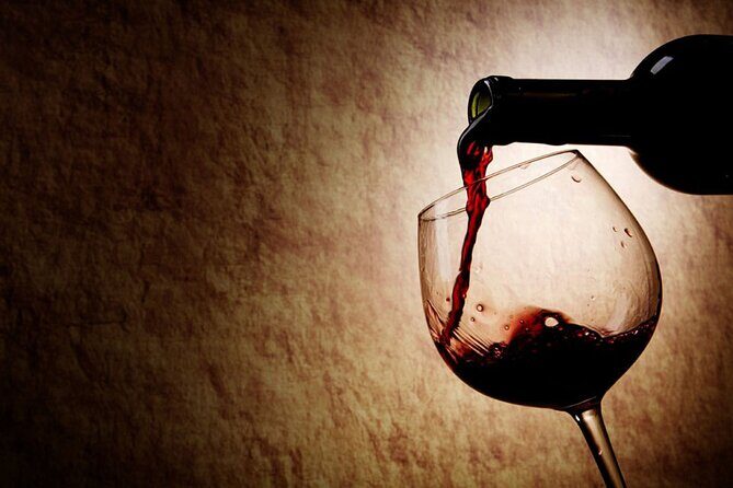 Wine Tasting in Madrid Experience - Final thoughts