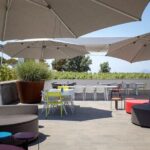 Wine tasting THE CLASSICS - The Value Factor