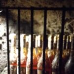 Wine Tasting Tour in Tokaj Wine Region Slovakia. With transport - FAQs