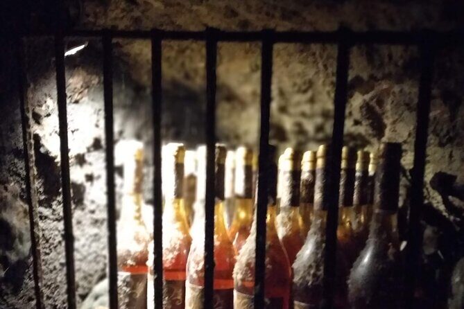 Wine Tasting Tour in Tokaj Wine Region Slovakia. With transport - FAQs