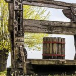 Wine Tour of Etyek from Budapest, taste even 7 kinds of wines! - What to Expect