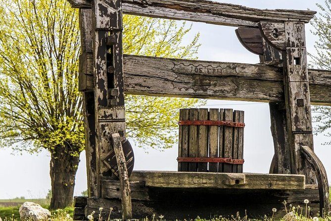 Wine Tour of Etyek from Budapest, taste even 7 kinds of wines! - What to Expect