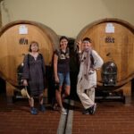 WINE TOUR with sommelier in a winery near Cagliari - Who This Tour Is Best For