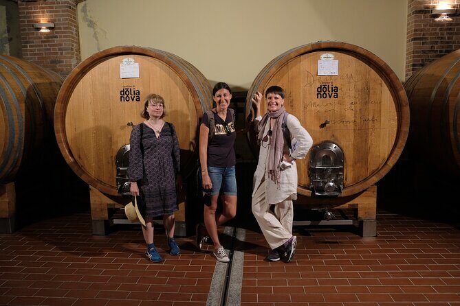 WINE TOUR with sommelier in a winery near Cagliari - Who This Tour Is Best For