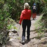 Wonderful hike through the Magic Forest of Tenerife - Practical Information