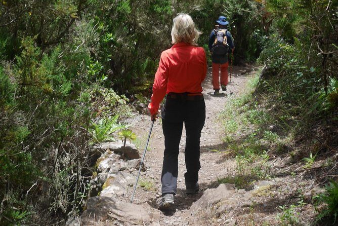 Wonderful hike through the Magic Forest of Tenerife - Practical Information