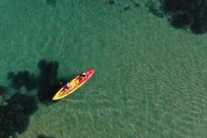 WWF Kayak Tour from Cala Manbrù to Torre Salsa Reserve - The Guides: Knowledge and Charisma Matter
