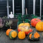 Zaanse Schans and Giethoorn Small-Group Tour with Hotel Pick-Up - The Sum Up