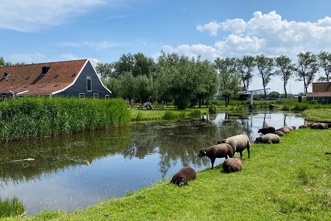 Zaanse Schans Windmills & Zaandam: Countryside Electric Bike Tour - Who Will Love This Tour?