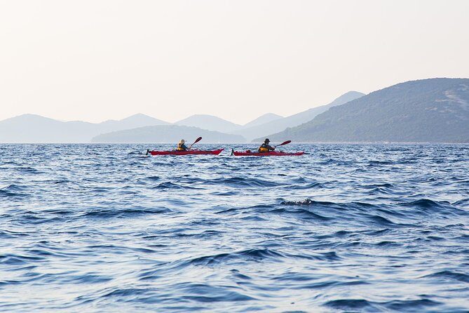 Zadar Archipelago 3 Islands Sea Kayaking Day Trip - Is It Worth The Cost?