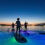 1.5-hour Clear Kayak Rental: Discover the Underwater World - Authentic Insights from Reviewers